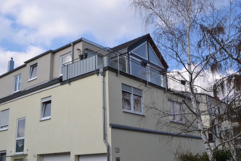 Eckansicht der Stadthäuser Marzelstraße 15 mit Birke