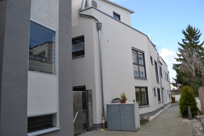Begrünter Hof des Wohnhauses Marzelstraße 17 mit weißer Putzfassade